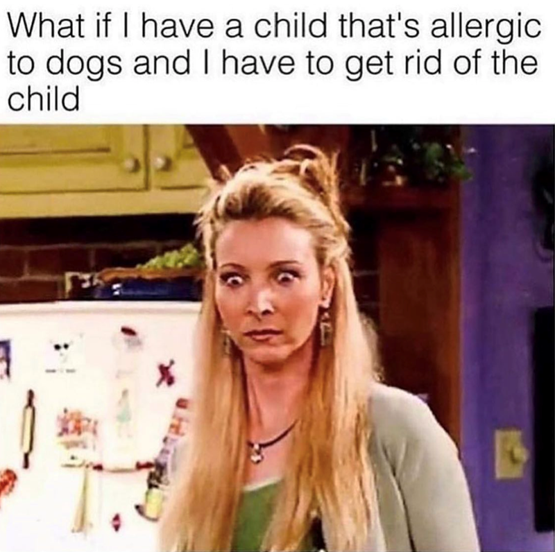 What if I have a child that's allergic to dogs and I have to get rid of the child