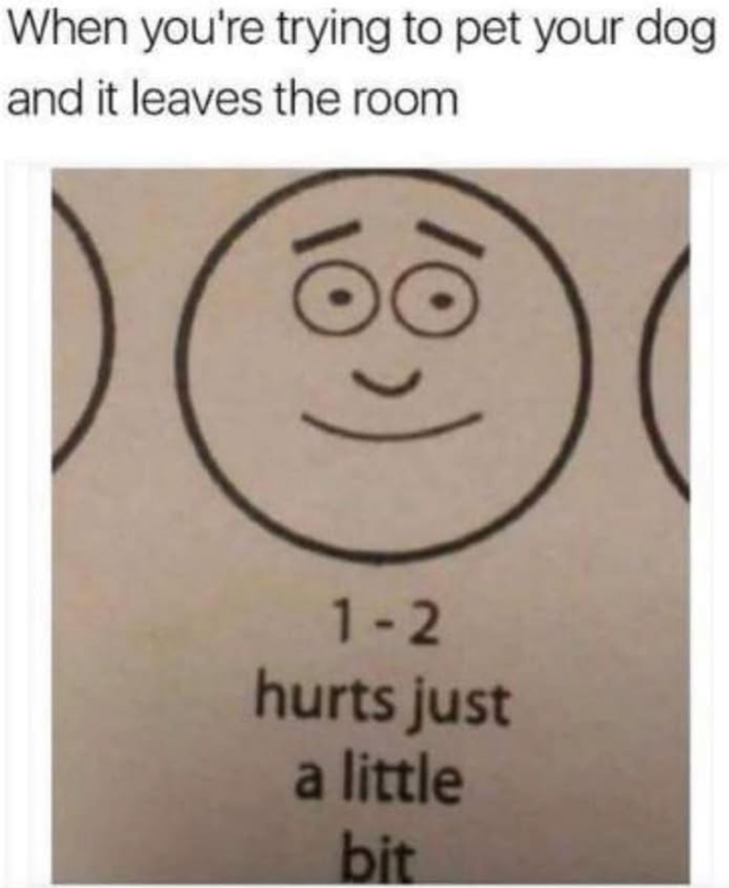 When you're trying to pet your dog and it leaves the room 1-2 hurts just a little bit