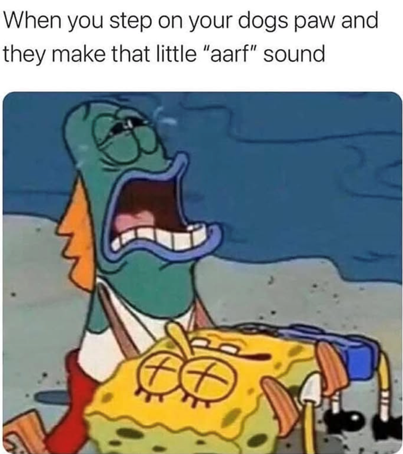 When you step on your dogs paw and they make that little "aarf" sound
