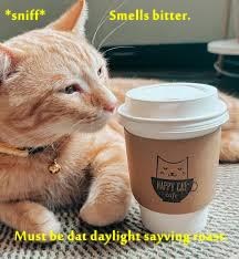 Cheezburger Image 10613075456