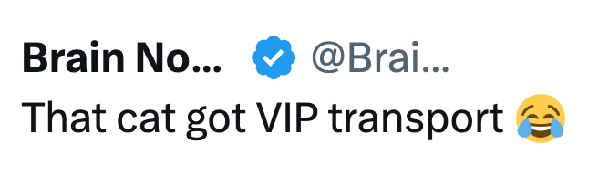 Brain No... @Brai... That cat got VIP transport