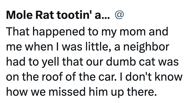 Mole Rat tootin' a... @ That happened to my mom and me when I was little, a neighbor had to yell that our dumb cat was on the roof of the car. I don't know how we missed him up there.