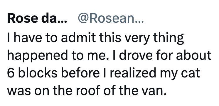 Rose da... @Rosean... I have to admit this very thing happened to me. I drove for about 6 blocks before I realized my cat was on the roof of the van.