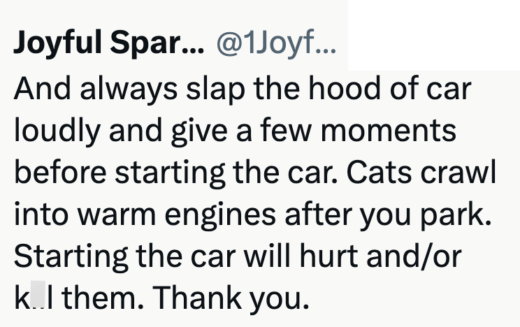 Joyful Spar... @1Joyf... And always slap the hood of car loudly and give a few moments before starting the car. Cats crawl into warm engines after you park. Starting the car will hurt and/or k..l them. Thank you.