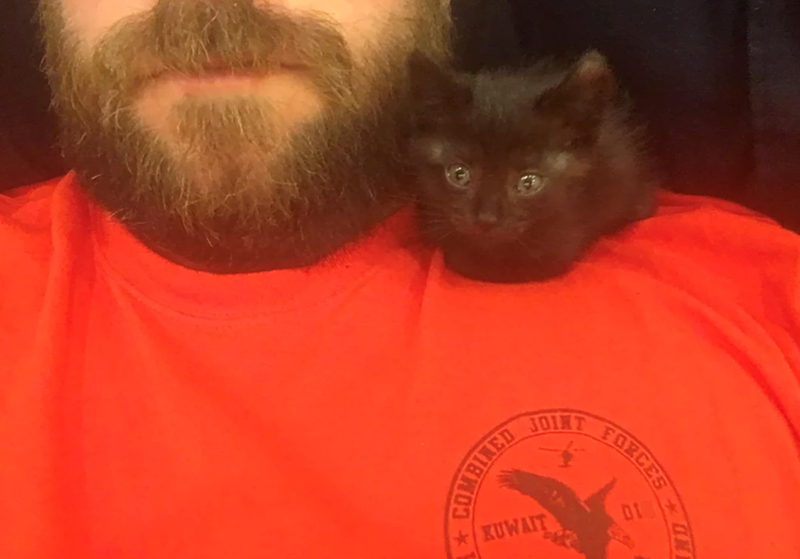 COMBINED JOINT KUWAIT FORCES ON DI