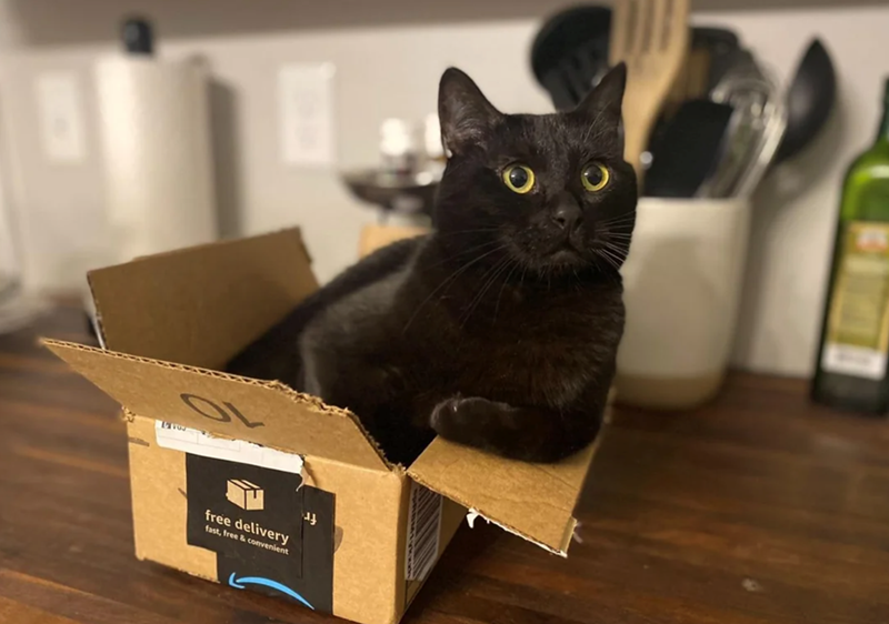 L free delivery fast, free & convenient