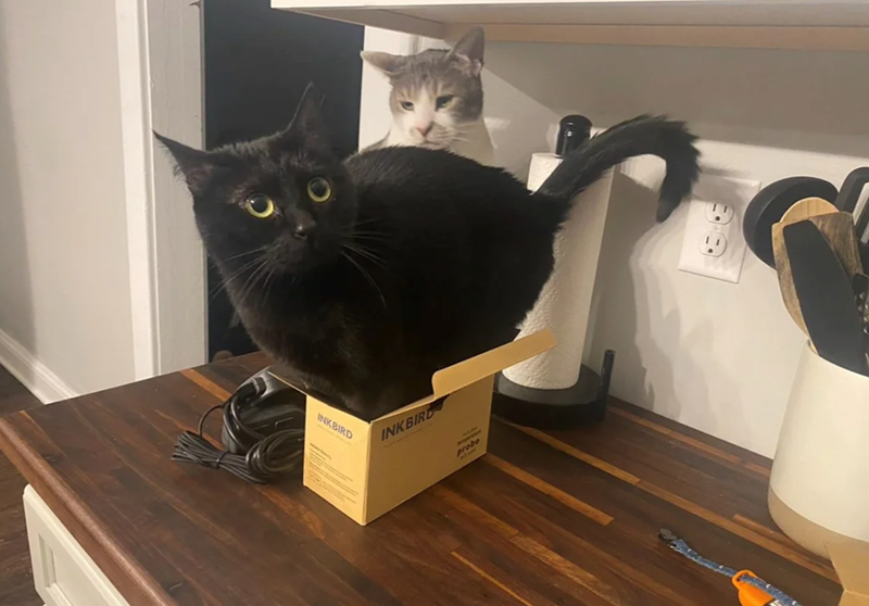 INKBIRD INKBIRD probe