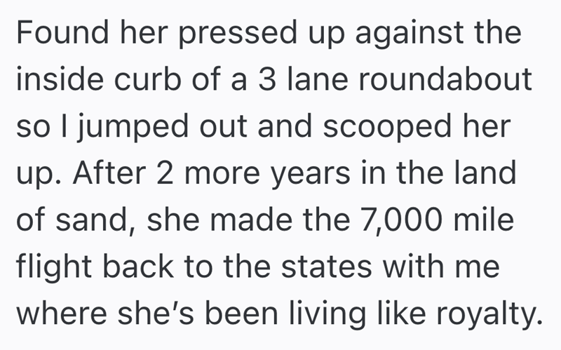 Found her pressed up against the inside curb of a 3 lane roundabout so I jumped out and scooped her up. After 2 more years in the land of sand, she made the 7,000 mile flight back to the states with me where she's been living like royalty.