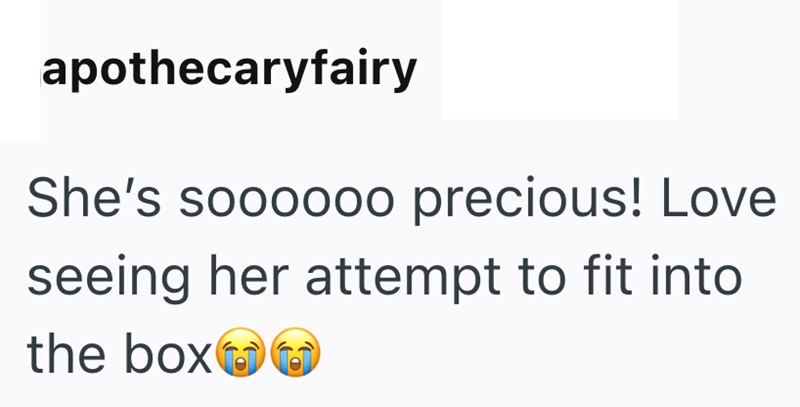 apothecaryfairy She's soooooo precious! Love seeing her attempt to fit into the box