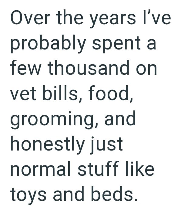 Over the years I've probably spent a few thousand on vet bills, food, grooming, and honestly just normal stuff like toys and beds.