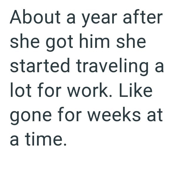 About a year after she got him she started traveling a lot for work. Like gone for weeks at a time.