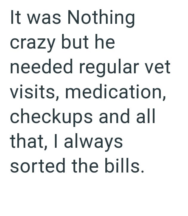 It was Nothing crazy but he needed regular vet visits, medication, checkups and all that, I always sorted the bills.