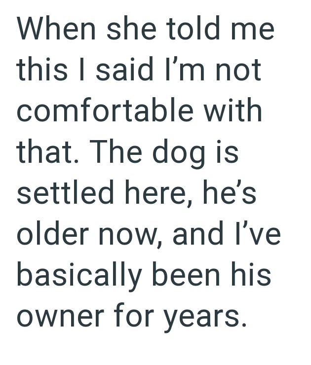 When she told me this I said I'm not comfortable with that. The dog is settled here, he's older now, and I've basically been his owner for years.