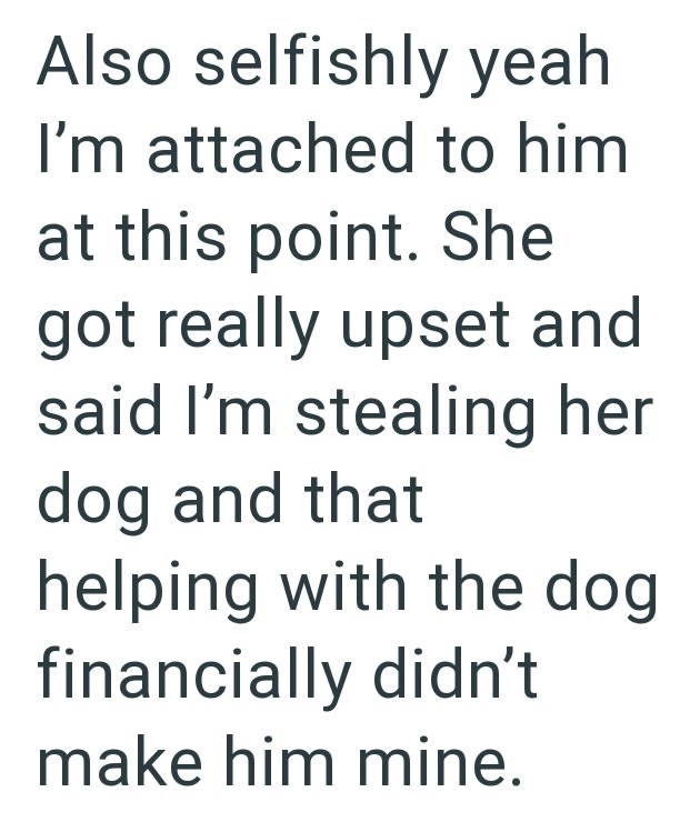 Also selfishly yeah I'm attached to him at this point. She got really upset and said I'm stealing her dog and that helping with the dog financially didn't make him mine.