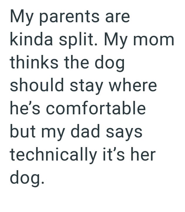 My parents are kinda split. My mom thinks the dog should stay where he's comfortable but my dad says technically it's her dog.