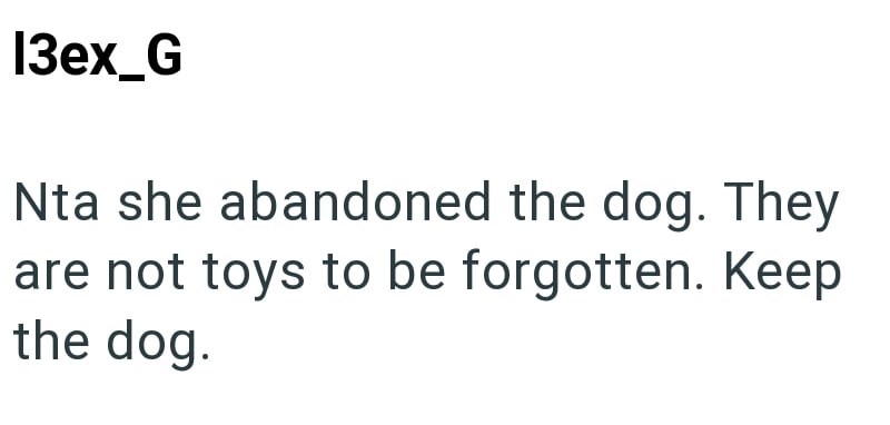 13ex_G Nta she abandoned the dog. They are not toys to be forgotten. Keep the dog.
