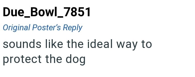Due_Bowl_7851 Original Poster's Reply sounds like the ideal way to protect the dog