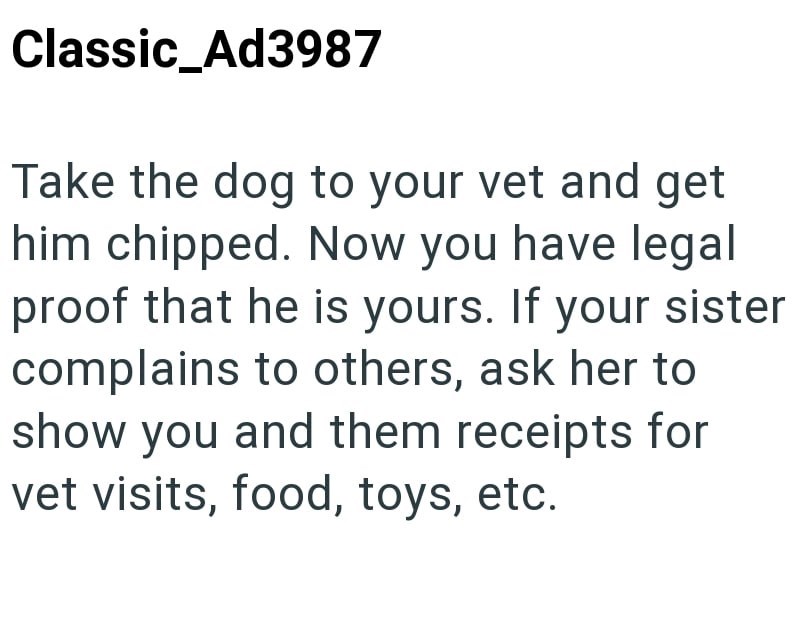 Classic_Ad3987 Take the dog to your vet and get him chipped. Now you have legal proof that he is yours. If your sister complains to others, ask her to show you and them receipts for vet visits, food, toys, etc.