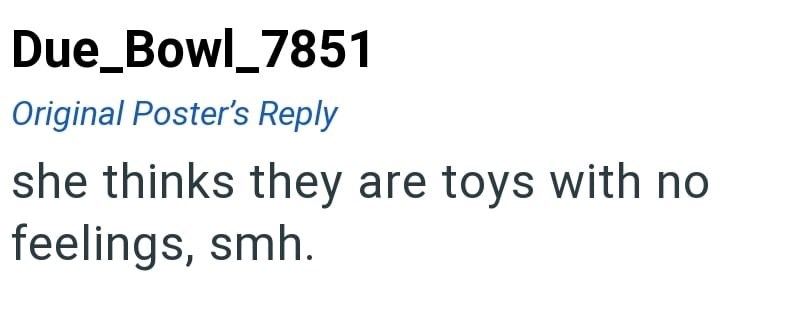 Due_Bowl_7851 Original Poster's Reply she thinks they are toys with no feelings, smh.