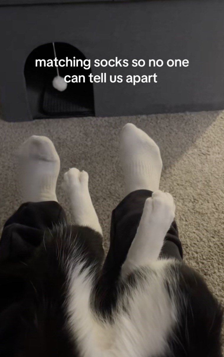 matching socks so no one can tell us apart