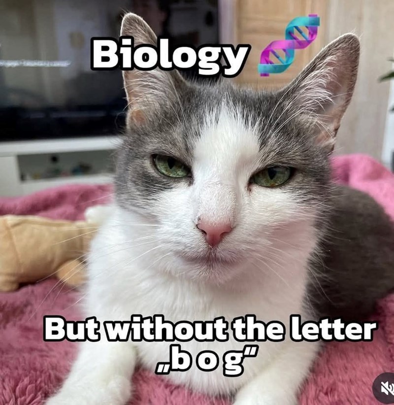 Biology But without the letter bog" א