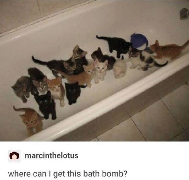 marcinthelotus where can I get this bath bomb?