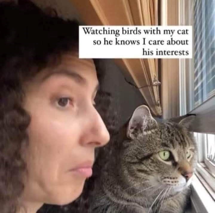 Watching birds with my cat so he knows I care about his interests