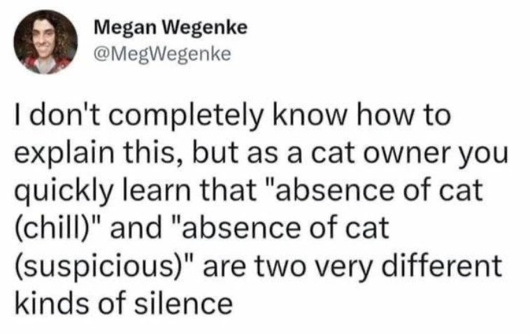 Megan Wegenke @MegWegenke I don't completely know how to explain this, but as a cat owner you quickly learn that "absence of cat (chill)" and "absence of cat (suspicious)" are two very different kinds of silence