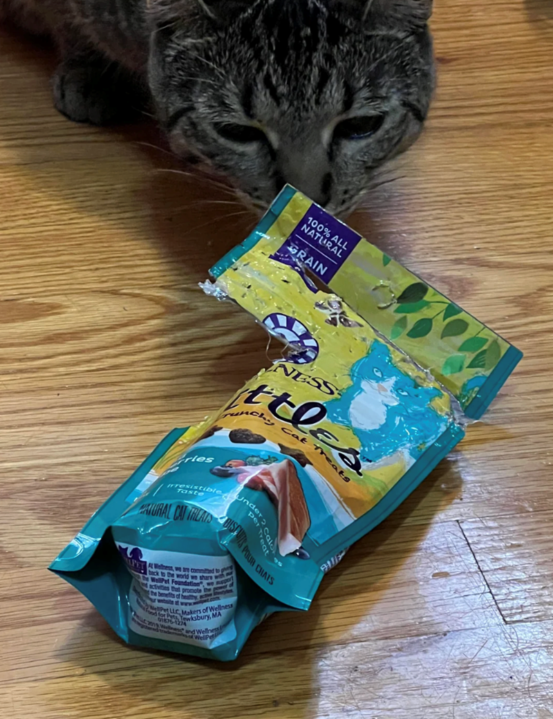 100% ALL NATURAL GRAIN les NESS ttles ch Cat Treats Irresistible Taste PATURAL CAT TREATS Under per per Calo S POUR CHAIS eats UPY AL Wellness, we are committed to g back to the world we share wit the WellPet Foundation, we support nd activities that promote the power of the benefits of heat active ty t.com WellPet LLC Makers of Wellness 01876-13wksbury, MA Food for Pets, T Thickened UN and Wellness WellP