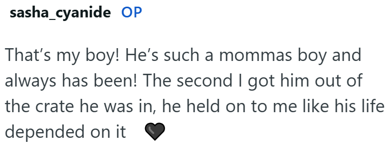 sasha_cyanide OP That's my boy! He's such a mommas boy and always has been! The second I got him out of the crate he was in, he held on to me like his life depended on it