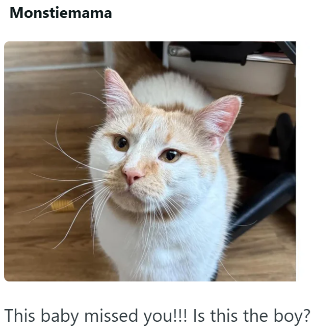 Monstiemama This baby missed you!!! Is this the boy?