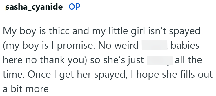 sasha_cyanide OP My boy is thicc and my little girl isn't spayed (my boy is I promise. No weird here no thank you) so she's just babies all the time. Once I get her spayed, I hope she fills out a bit more