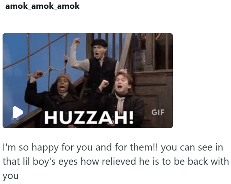 amok_amok_amok HUZZAH! GIF I'm so happy for you and for them!! you can see in that lil boy's eyes how relieved he is to be back with you