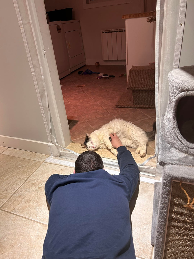 Cheezburger Image 10613126400