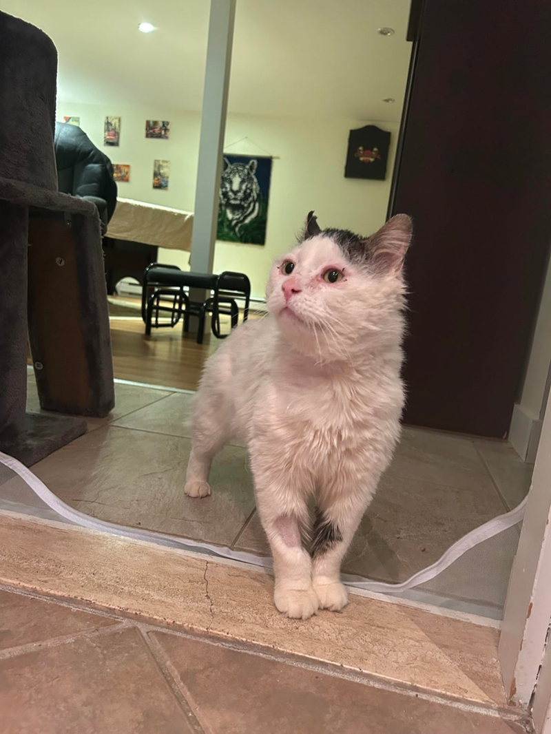 Cheezburger Image 10613126912