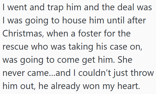I went and trap him and the deal was I was going to house him until after Christmas, when a foster for the rescue who was taking his case on, was going to come get him. She never came...and I couldn't just throw him out, he already won my heart.