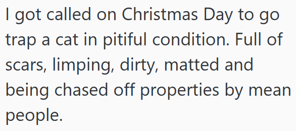I got called on Christmas Day to go trap a cat in pitiful condition. Full of scars, limping, dirty, matted and being chased off properties by mean people.