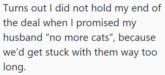 Turns out I did not hold my end of the deal when I promised my husband "no more cats", because we'd get stuck with them way too long.