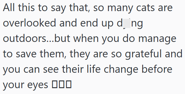 All this to say that, so many cats are overlooked and end up d_ng outdoors...but when you do manage to save them, they are so grateful and you can see their life change before your eyes
