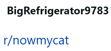 BigRefrigerator9783 r/nowmycat