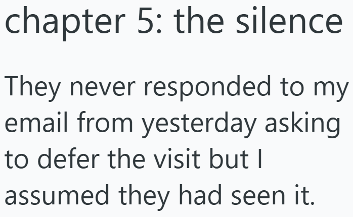 chapter 5: the silence They never responded to my email from yesterday asking to defer the visit but I assumed they had seen it.