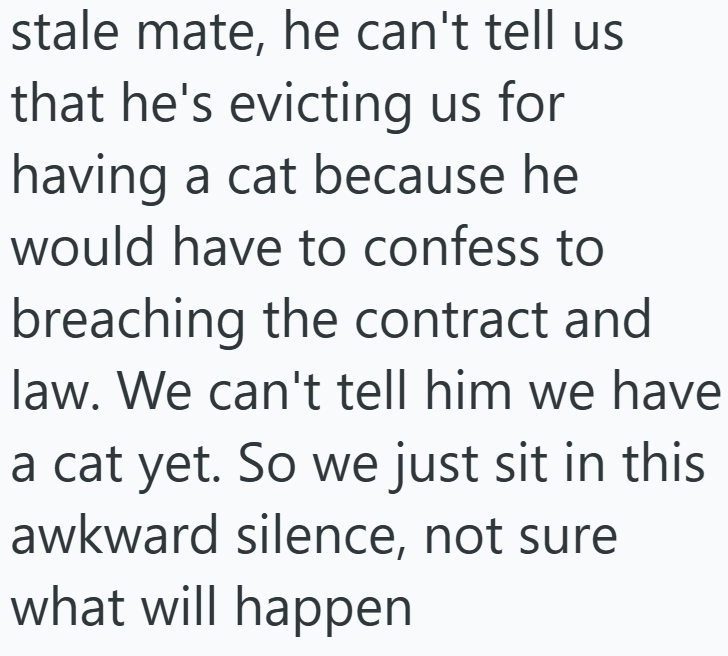 stale mate, he can't tell us that he's evicting us for having a cat because he would have to confess to breaching the contract and law. We can't tell him we have a cat yet. So we just sit in this awkward silence, not sure what will happen