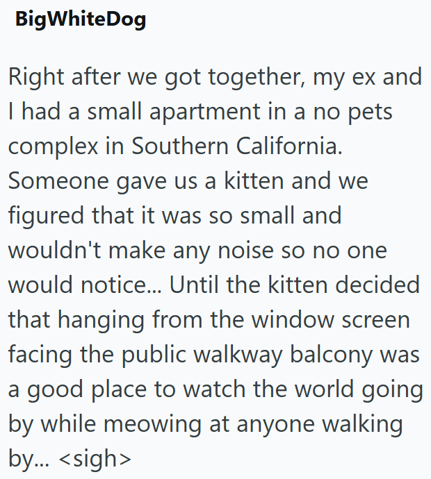 BigWhiteDog Right after we got together, my ex and I had a small apartment in a no pets complex in Southern California. Someone gave us a kitten and we figured that it was so small and wouldn't make any noise so no one would notice... Until the kitten decided that hanging from the window screen facing the public walkway balcony was a good place to watch the world going by while meowing at anyone walking by... <sigh>
