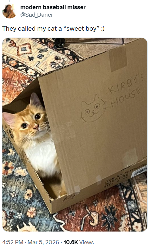 modern baseball misser @Sad_Daner They called my cat a "sweet boy" :) 4:52 PM · Mar 5, 2026 10.6K Views KIRBY'S HOUSE ITEM NOPPXSOFGOL COLOR