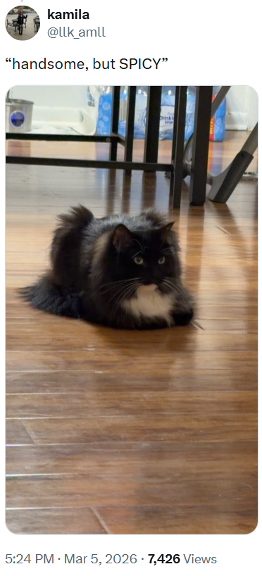 kamila @llk_amll "handsome, but SPICY" 5:24 PM · Mar 5, 2026 7,426 Views