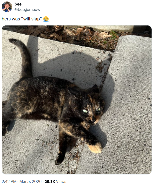 bee @beegomeow hers was "will slap" 2:42 PM - Mar 5, 2026 - 25.3K Views