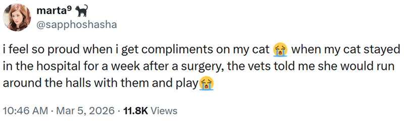 marta⁹ @sapphoshasha i feel so proud when i get compliments on my cat when my cat stayed in the hospital for a week after a surgery, the vets told me she would run around the halls with them and play 10:46 AM · Mar 5, 2026 11.8K Views