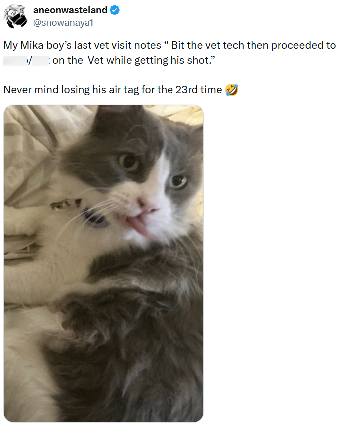 aneonwasteland @snowanaya1 My Mika boy's last vet visit notes " Bit the vet tech then proceeded to I on the Vet while getting his shot." ✓ Never mind losing his air tag for the 23rd time