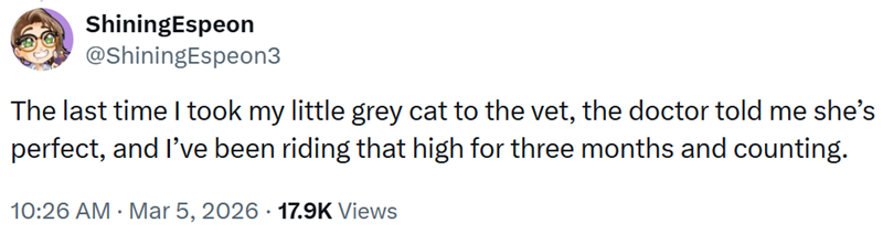 ShiningEspeon @ShiningEspeon3 The last time I took my little grey cat to the vet, the doctor told me she’s perfect, and I've been riding that high for three months and counting. 10:26 AM · Mar 5, 2026 17.9K Views