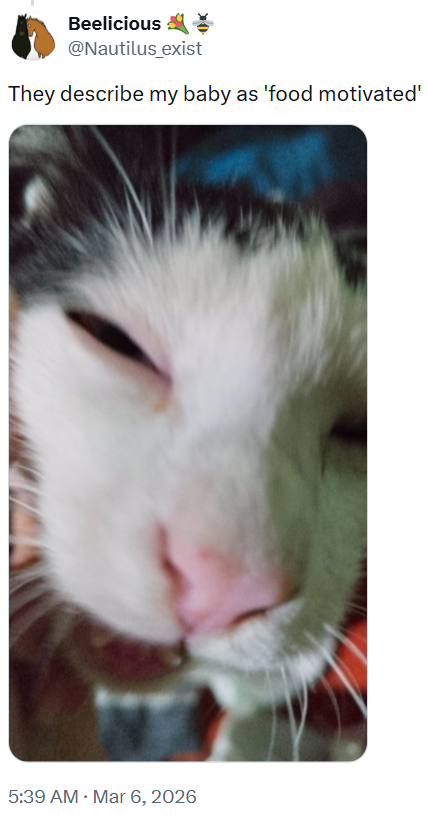 Beelicious @Nautilus_exist They describe my baby as 'food motivated' 5:39 AM · Mar 6, 2026 .